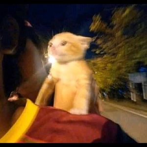 Meet your Posher, Joshua